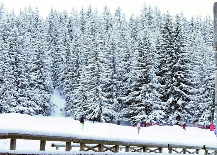 公寓 De Standing Au Centre Et Bord De Piste - 4 Pers, Parking, Wifi - Fr-1-514-35 谷雪维尔